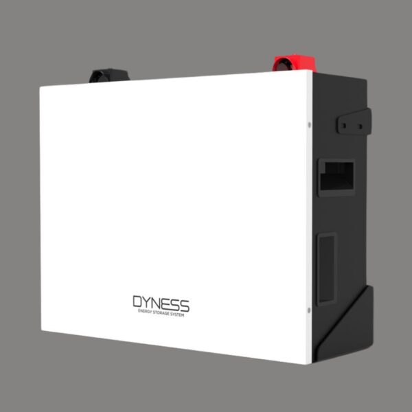 DYNESS 51.2 V 100AH - Image 4