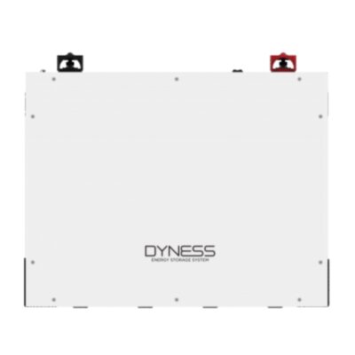 DYNESS 51.2 V 100AH
