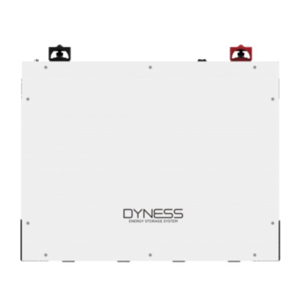 DYNESS 51.2 V 100AH