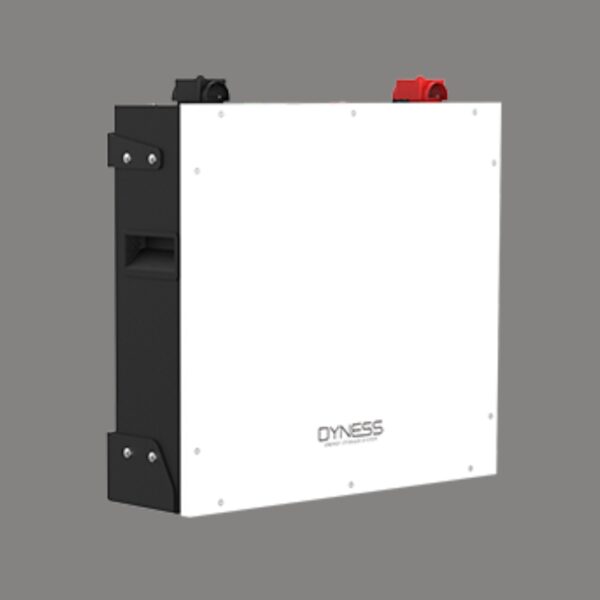 DYNESS 51.2 V 100AH - Image 2